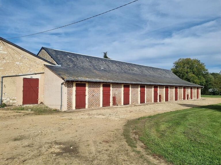 Sale Equestrian property Chateau-du-Loir - 9 bedrooms