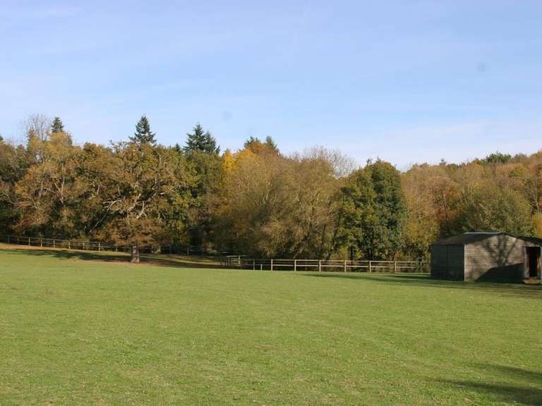 Château Château-Gontier - 7 chambres - 700m²