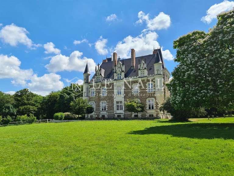 Château Château-Gontier - 7 chambres - 700m²