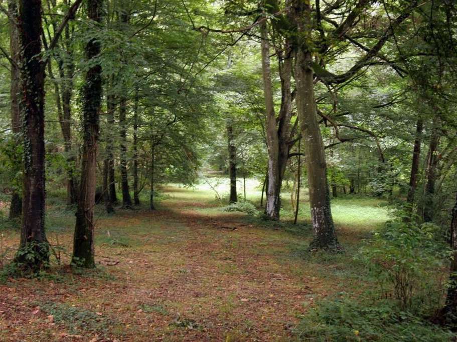 Château Château-Gontier