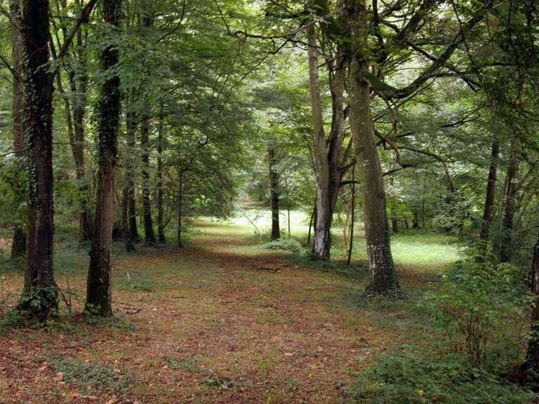 Château Château-Gontier - 7 chambres - 700m²