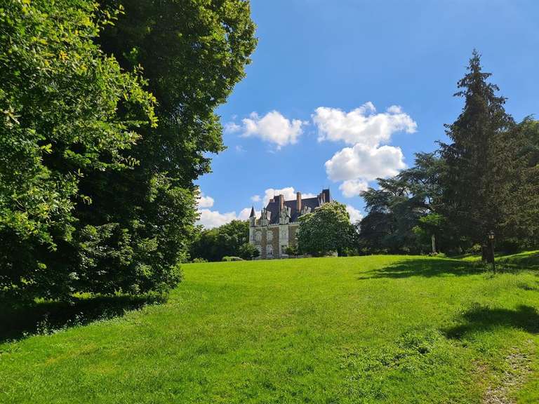Château Château-Gontier - 7 chambres - 700m²
