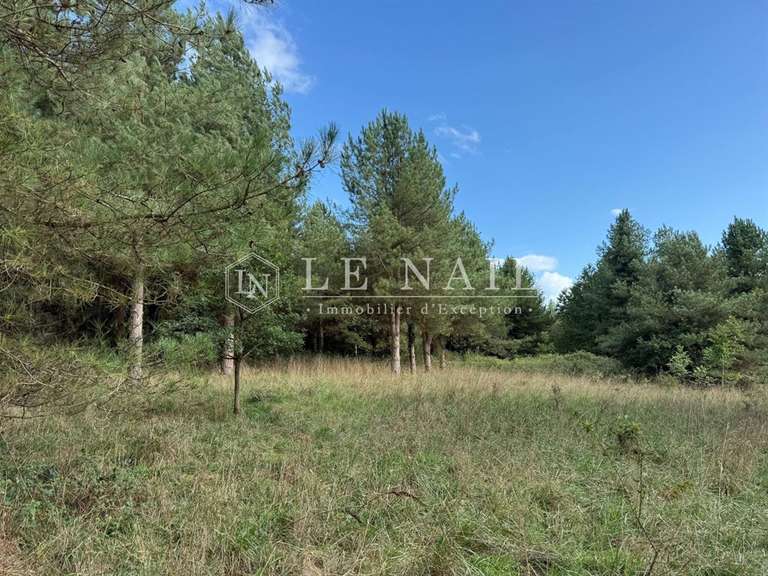 Terrain Château-Gontier - 172m²