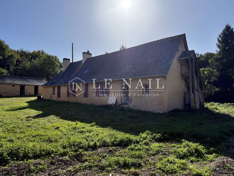Terrain Château-Gontier - 172m²