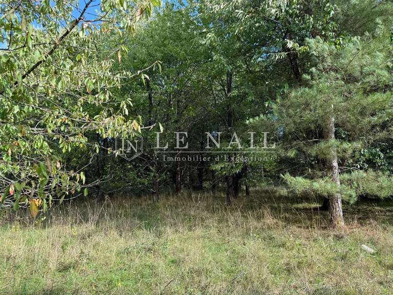 Terrain Château-Gontier - 172m²