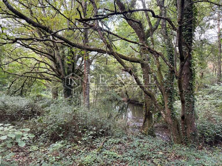 Terrain Château-Gontier - 172m²