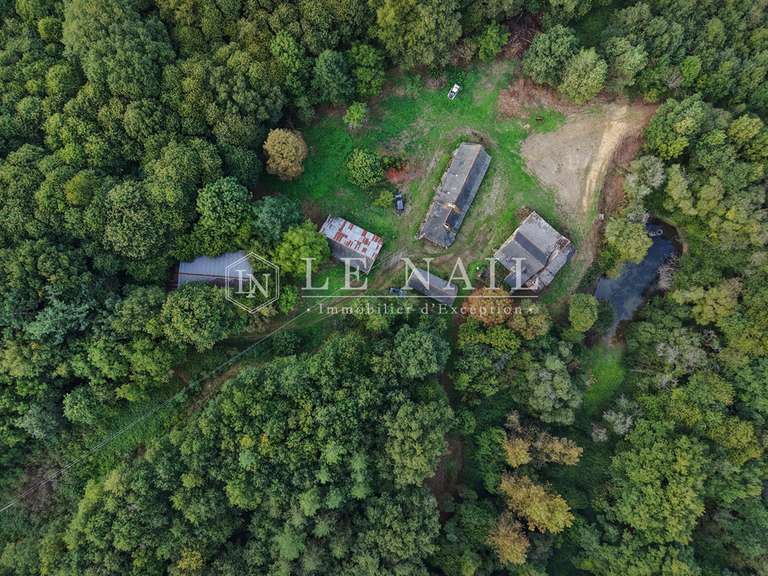 Terrain Château-Gontier - 172m²