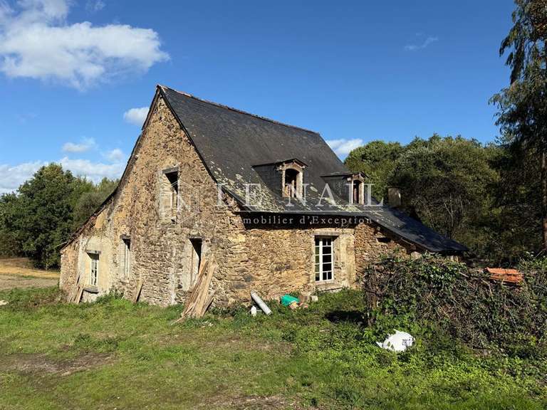 Terrain Château-Gontier - 172m²