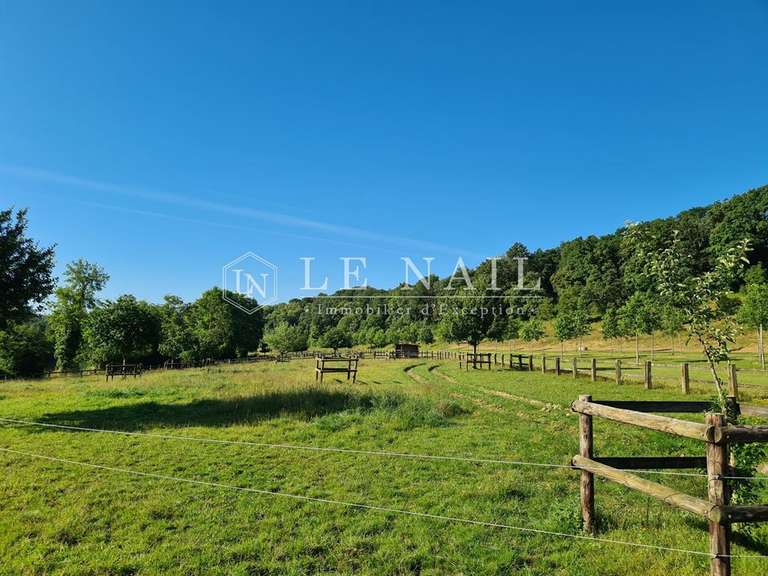 Manoir Château-Gontier-sur-Mayenne - 9 chambres - 480m²