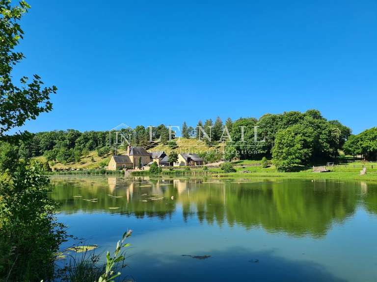 Manor Château-Gontier-sur-Mayenne - 9 bedrooms - 480m²