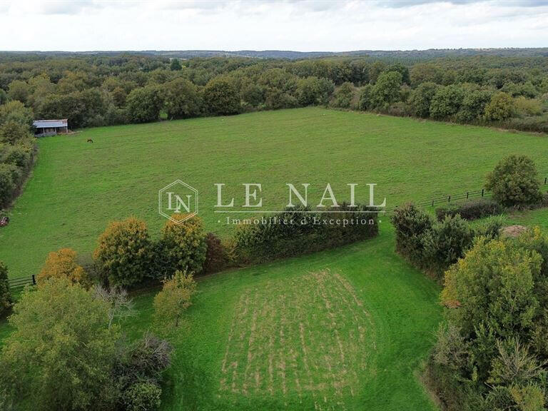 Propriété équestre Château-la-Vallière - 2 chambres - 150m²