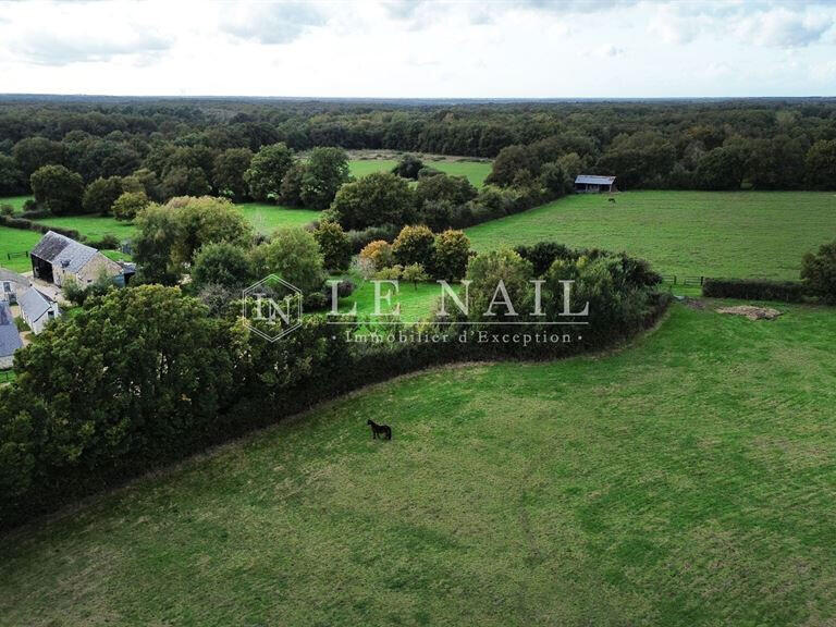 Propriété équestre Château-la-Vallière - 2 chambres - 150m²