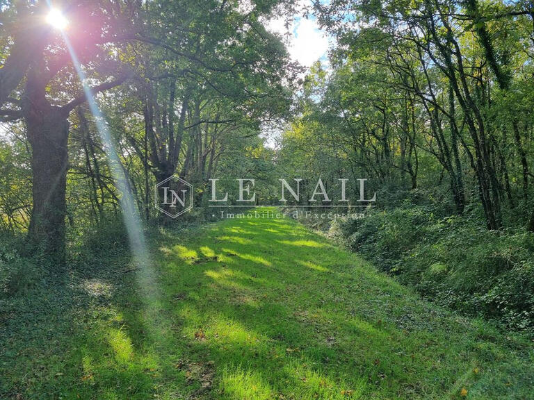 Propriété équestre Château-la-Vallière - 2 chambres - 150m²