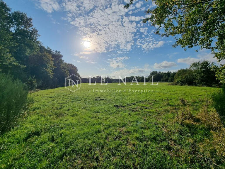 Propriété équestre Château-la-Vallière - 2 chambres - 150m²