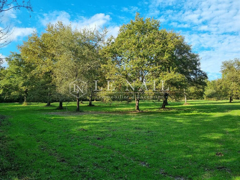 Propriété équestre Château-la-Vallière - 2 chambres - 150m²