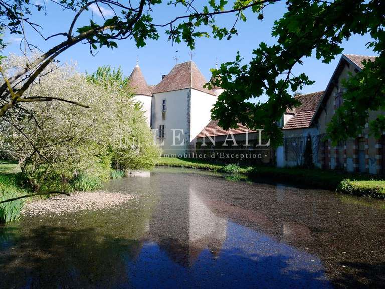 Château Châteaumeillant - 5 chambres - 500m²