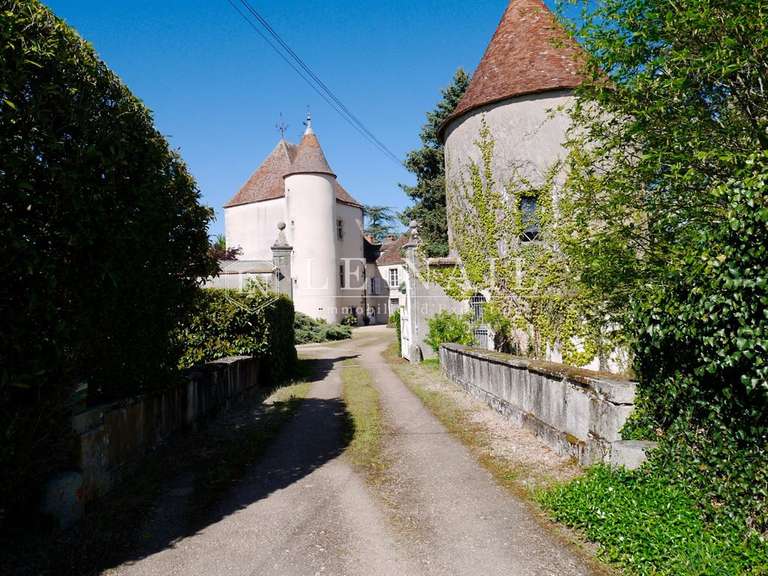 Château Châteaumeillant - 5 chambres - 500m²