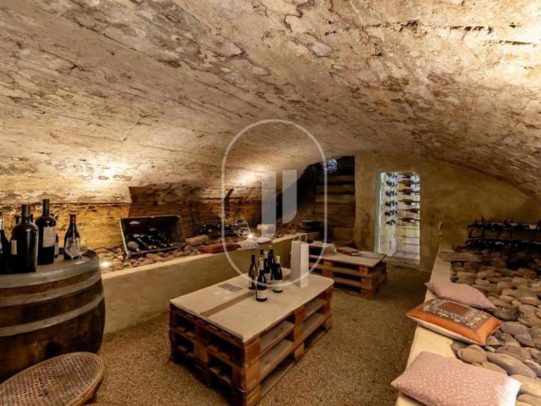 House Châteauneuf-du-Pape - 4 bedrooms - 350m²