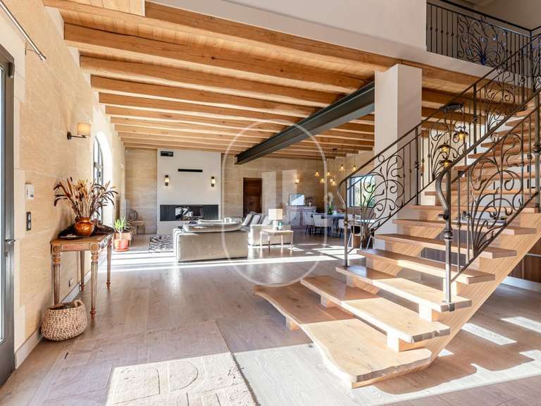 Maison Châteauneuf-du-Pape - 5 chambres - 351m²