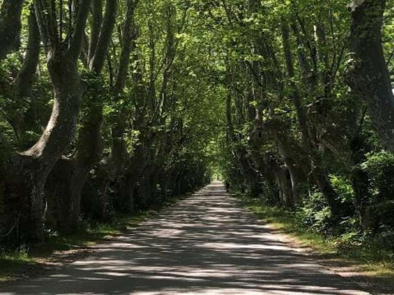 Maison Châteauneuf-du-Pape - 18 chambres - 916m²