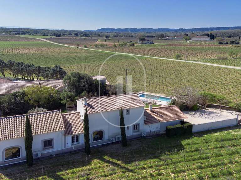 Maison Châteauneuf-du-Pape - 4 chambres - 176m²