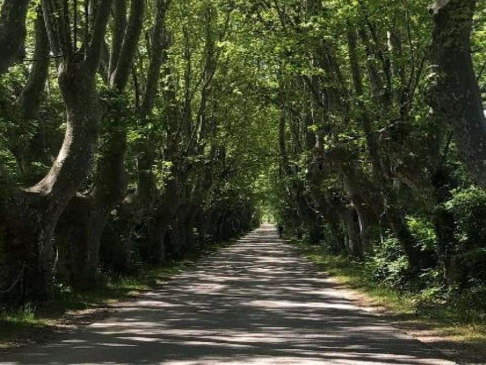 Propriété Châteauneuf-du-Pape