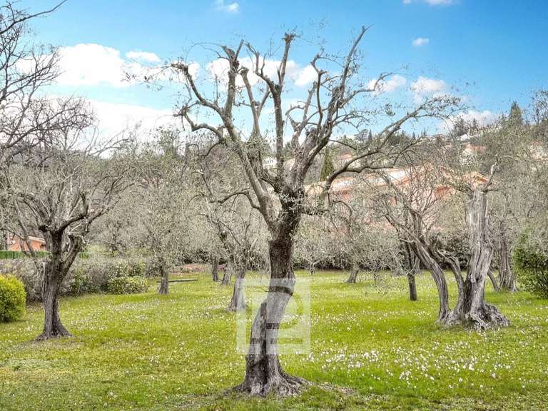Maison Châteauneuf-Grasse - 6 chambres - 300m²