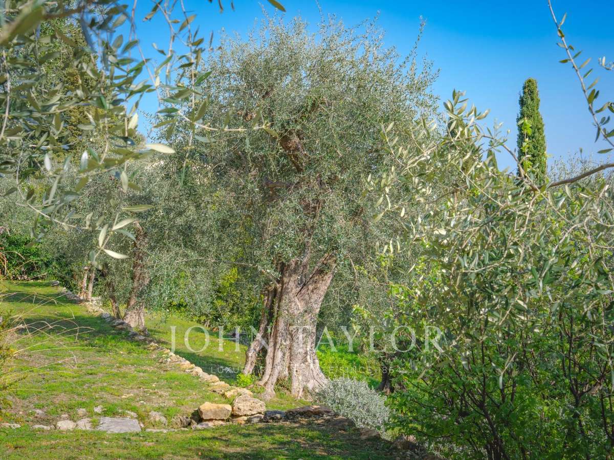 House Châteauneuf-Grasse