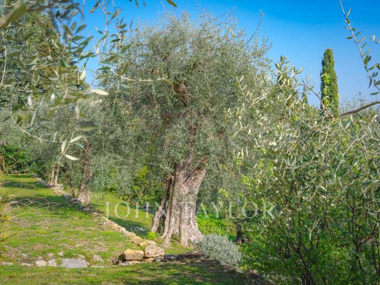 House Châteauneuf-Grasse - 4 bedrooms - 239m²