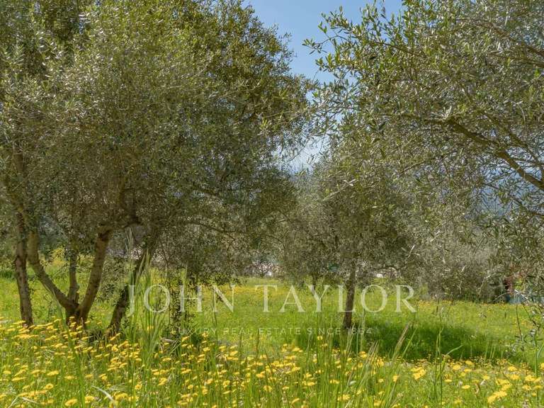 Maison Châteauneuf-Grasse - 5 chambres - 247m²