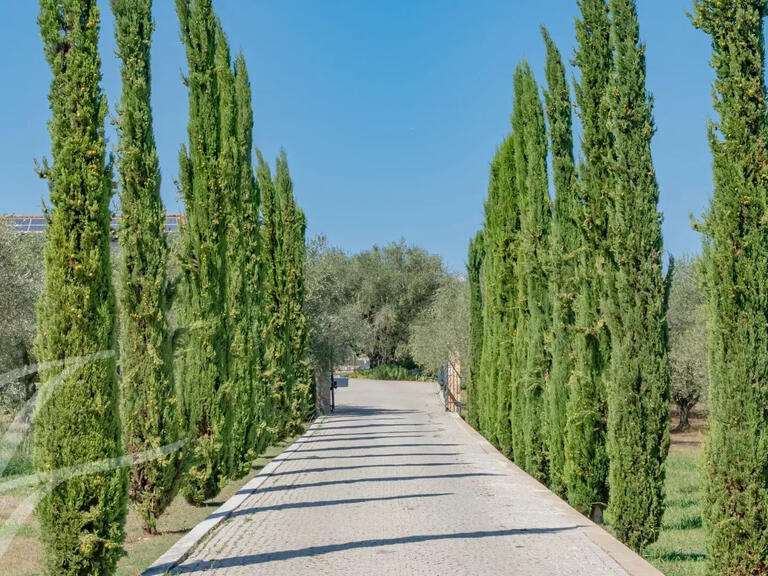 Property Châteauneuf-Grasse - 6 bedrooms - 310m²