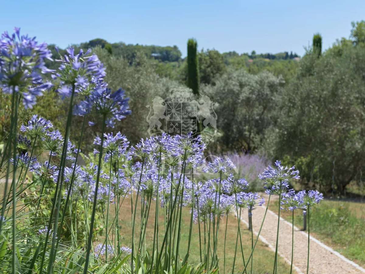 Villa Châteauneuf-Grasse