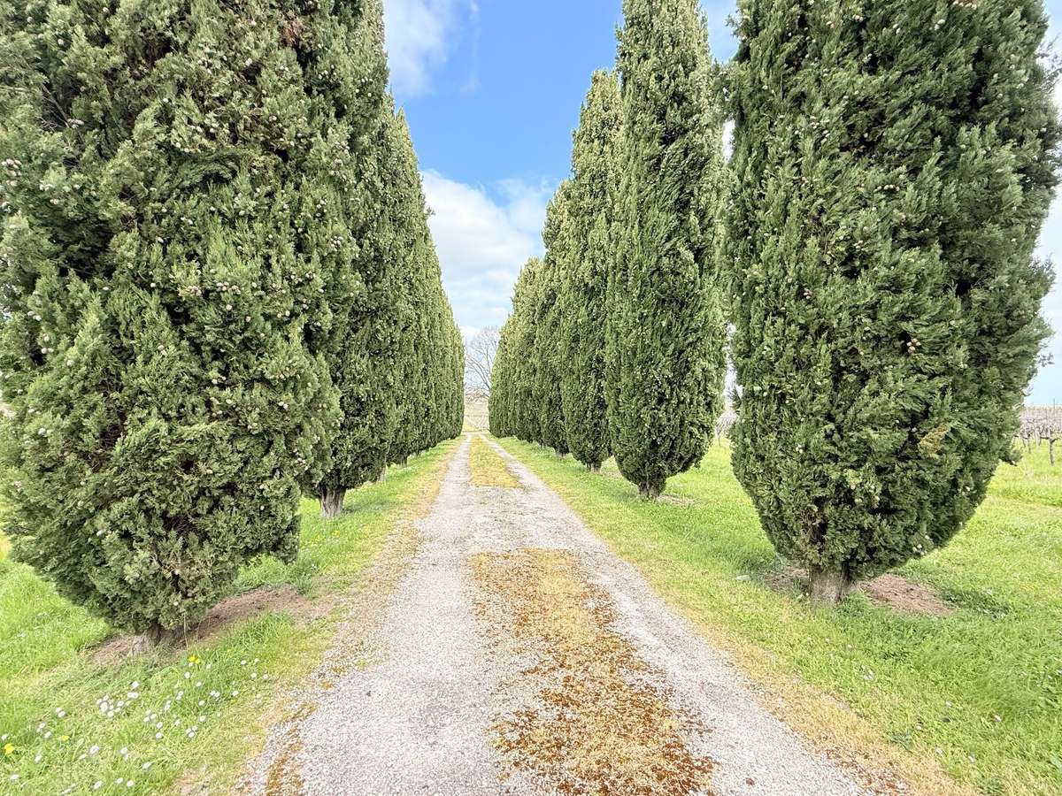 Maison Châteauneuf-sur-Charente