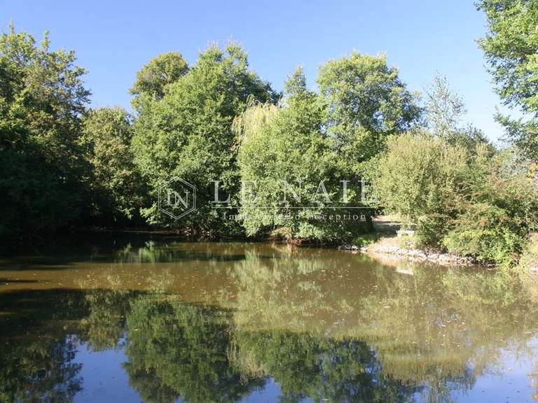 Maison Châteauneuf-sur-Cher - 7 chambres - 250m²