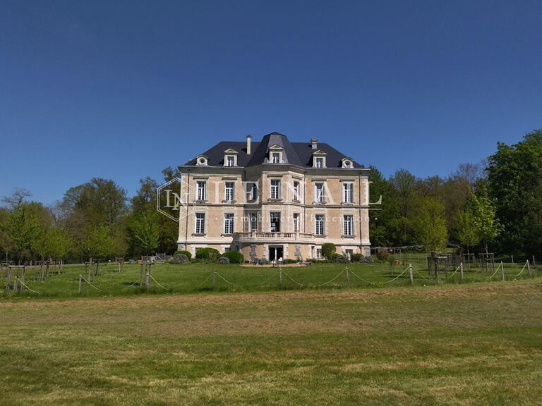 Vente Château Châteauneuf-sur-Sarthe - 17 chambres