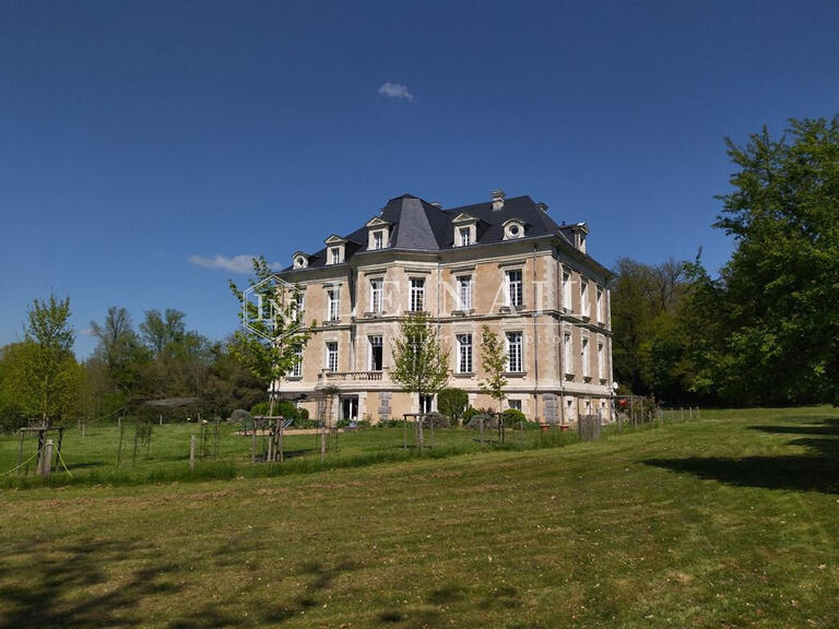 Sale Castle Châteauneuf-sur-Sarthe - 17 bedrooms