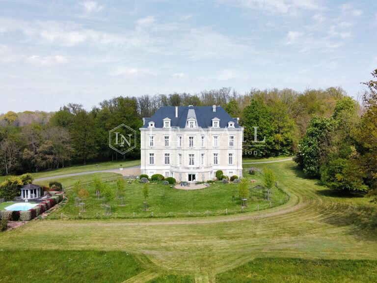 Sale Castle Châteauneuf-sur-Sarthe - 17 bedrooms