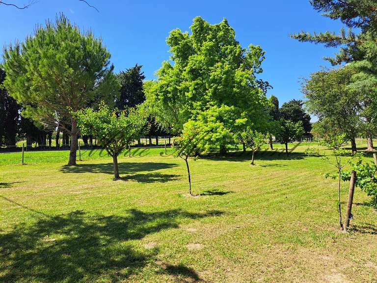 Maison Châteaurenard - 5 chambres - 250m²