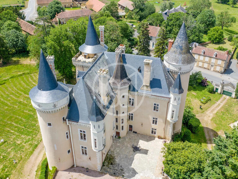 Sale Castle Châteauroux - 9 bedrooms