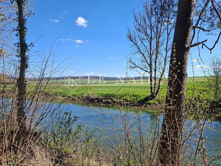 Manor Châteauvillain - 11 bedrooms - 850m²