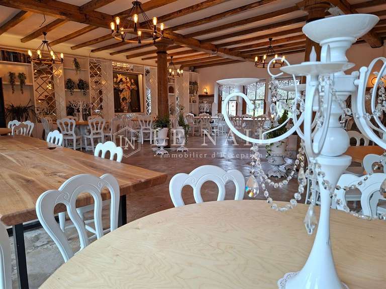 Manor Châteauvillain - 11 bedrooms - 850m²
