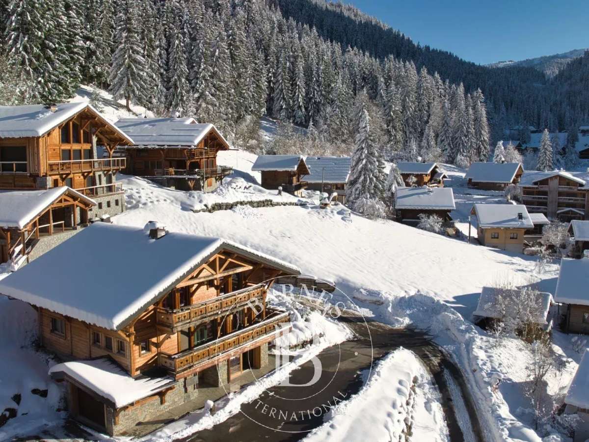 Chalet Châtel