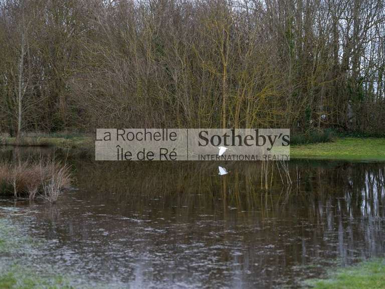 Propriété Châtelaillon-Plage - 4 chambres - 270m²