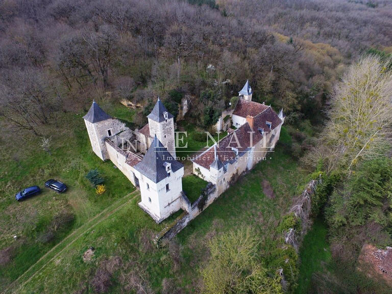Vente Château Châtellerault - 7 chambres