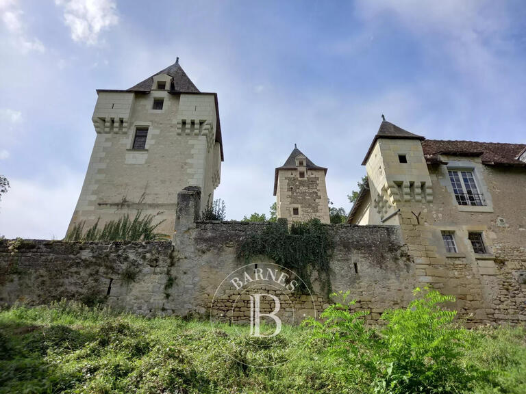 Sale Castle Châtellerault - 5 bedrooms