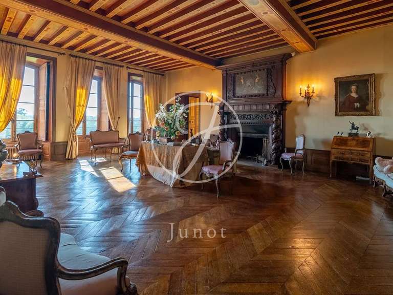 Castle Châtillon-en-Bazois - 22 bedrooms - 2163m²