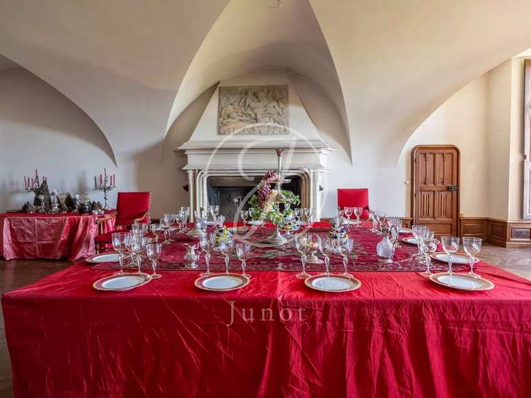 Castle Châtillon-en-Bazois - 22 bedrooms - 2163m²