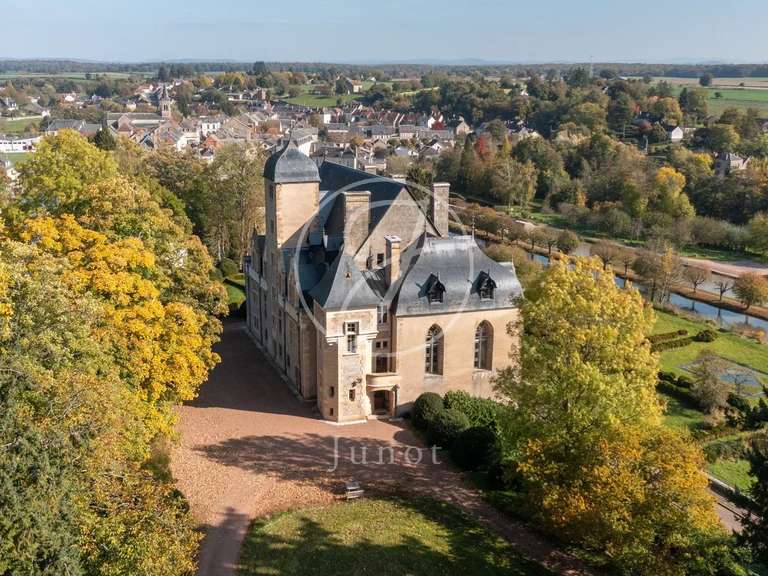 Castle Châtillon-en-Bazois - 22 bedrooms - 2163m²