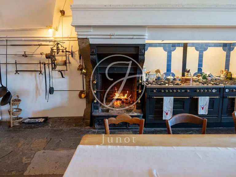 Castle Châtillon-en-Bazois - 22 bedrooms - 2163m²