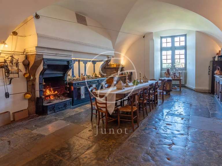 Castle Châtillon-en-Bazois - 22 bedrooms - 2163m²